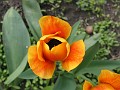 20040418_ 006
